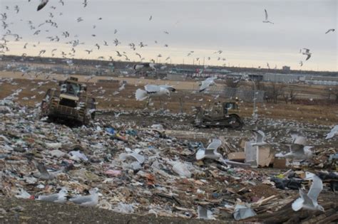 regina landfill|City of Regina opens new year.
